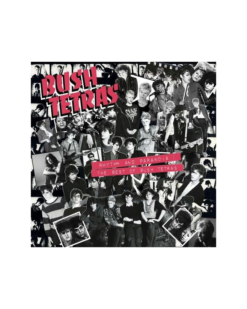 Bush Tetras RHYTHM AND PARANOIA: THE BEST OF BUSH TETRAS (3LP/BOOK) Vinyl Record $28.80 Vinyl