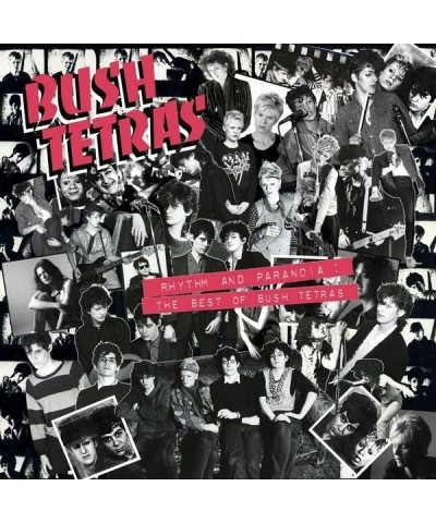 Bush Tetras RHYTHM AND PARANOIA: THE BEST OF BUSH TETRAS (3LP/BOOK) Vinyl Record $28.80 Vinyl