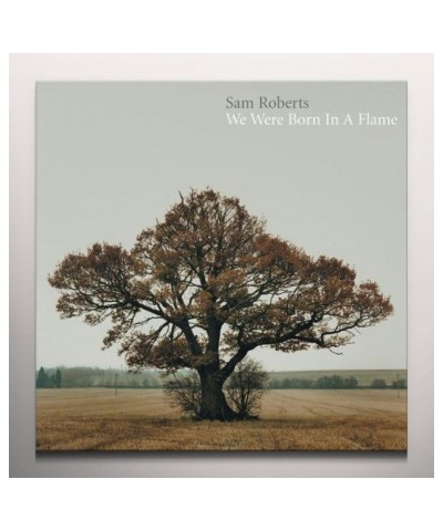 Sam Roberts Band We were born in a flame Vinyl Record $13.00 Vinyl