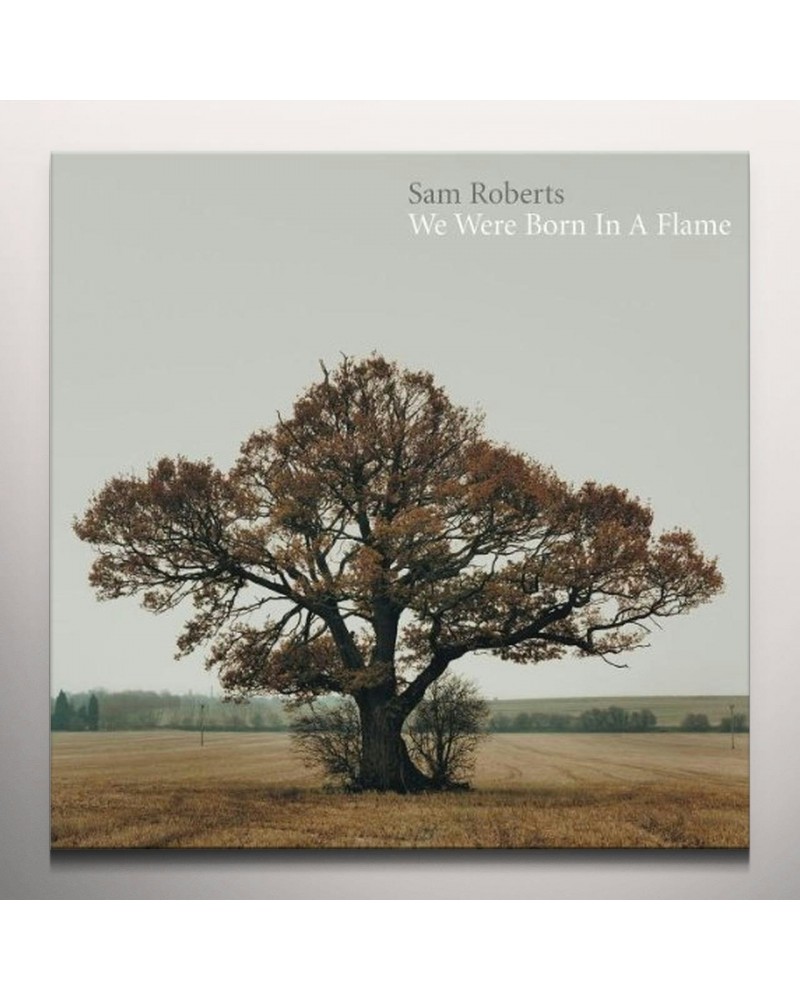 Sam Roberts Band We were born in a flame Vinyl Record $13.00 Vinyl