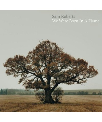 Sam Roberts Band We were born in a flame Vinyl Record $13.00 Vinyl